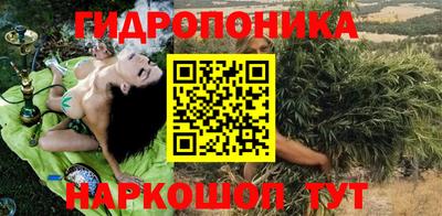стаф Сланцы