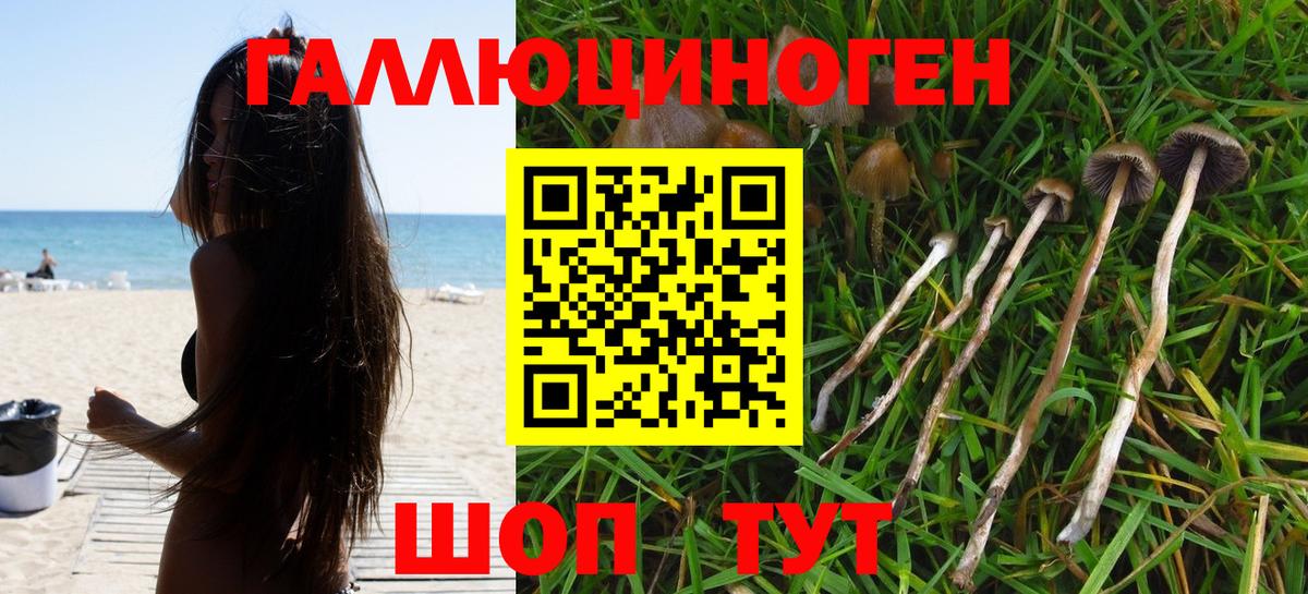 Россошь  Галлюциногенные грибы Magic Shrooms  Псилоцибиновые грибы ЛСД  Вход с VPN 