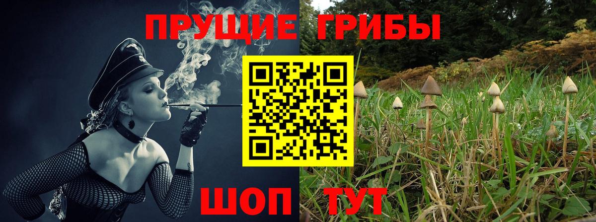 Галлюциногенные грибы Psilocybe Россошь
